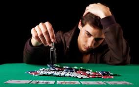 Вход на официальный сайт Pelican Casino